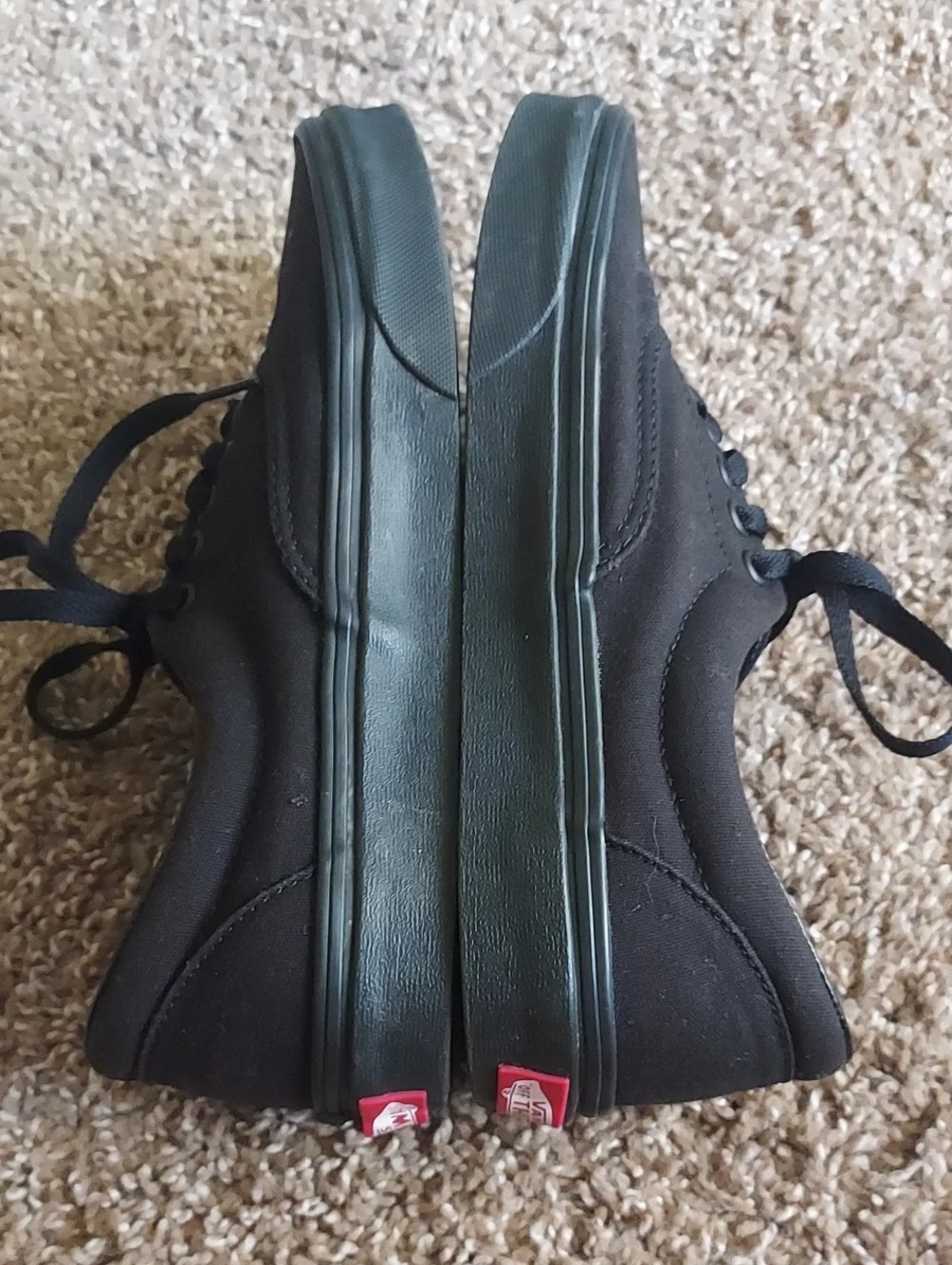 Vans Black Low-Top Sneakers with White Logo
